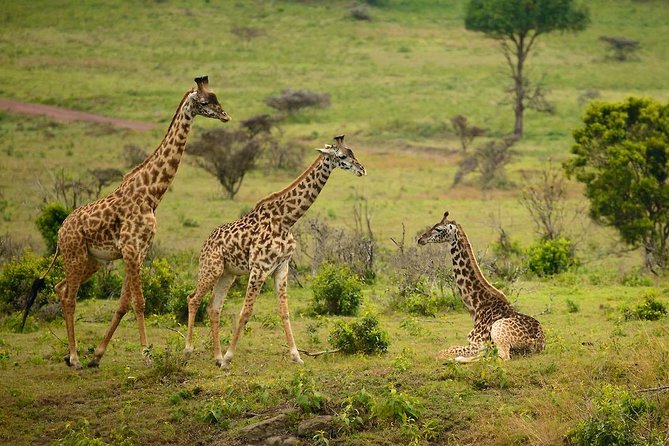 Landscape in Arusha National Park