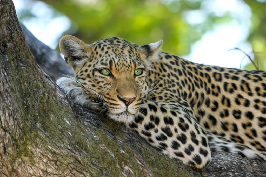 Lake Mburo National Park landscape