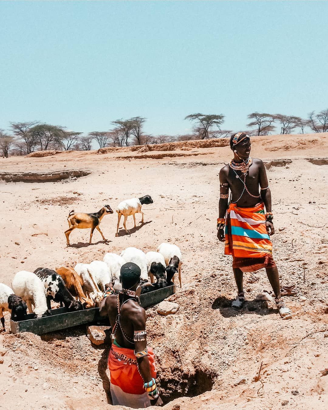 Samburu Cultural Safari - Unique Wildlife and Indigenous Culture Kenya